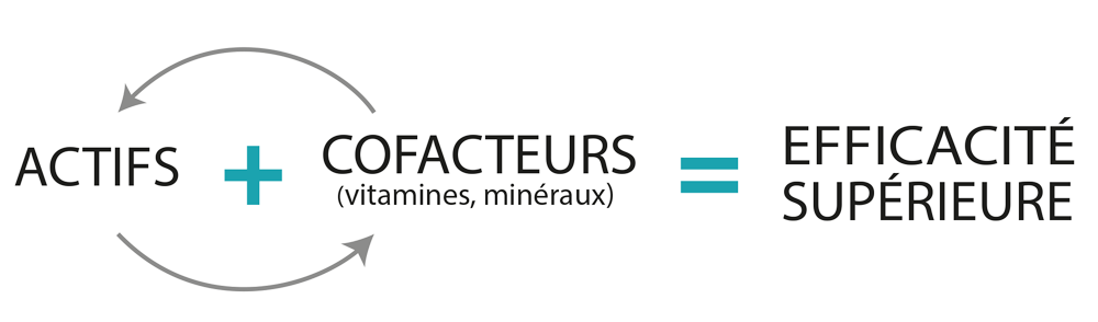 efficacite-transparence